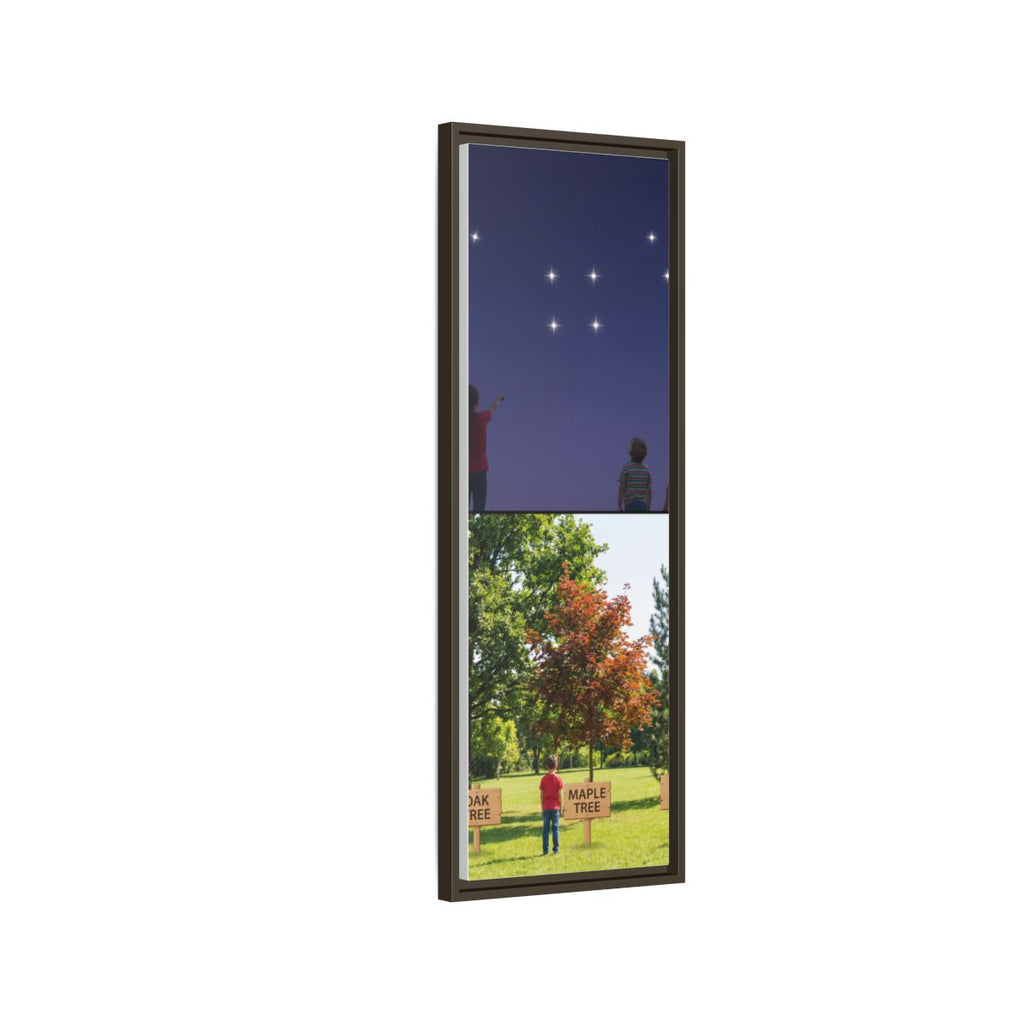 Framed Matte Canvas - Discovery — Espresso / 1.25"