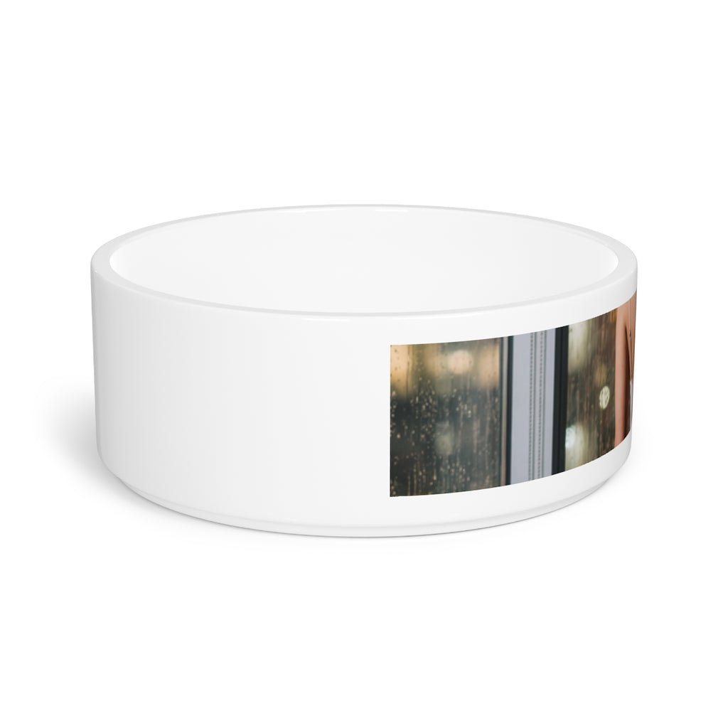 Pet Bowl - Gourmet Dog Dinner Style