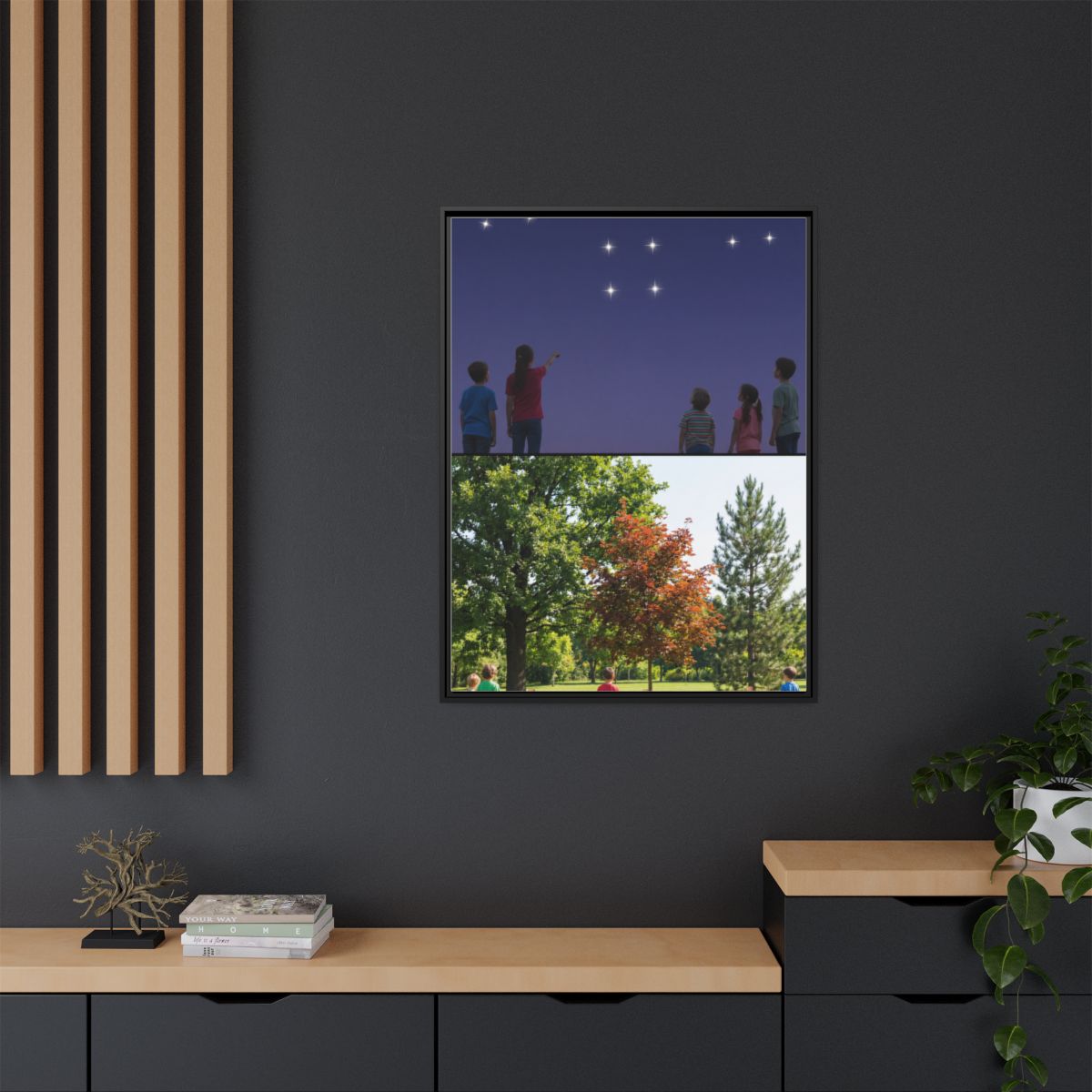 Framed Matte Canvas - Discovery — Black / 1.25"