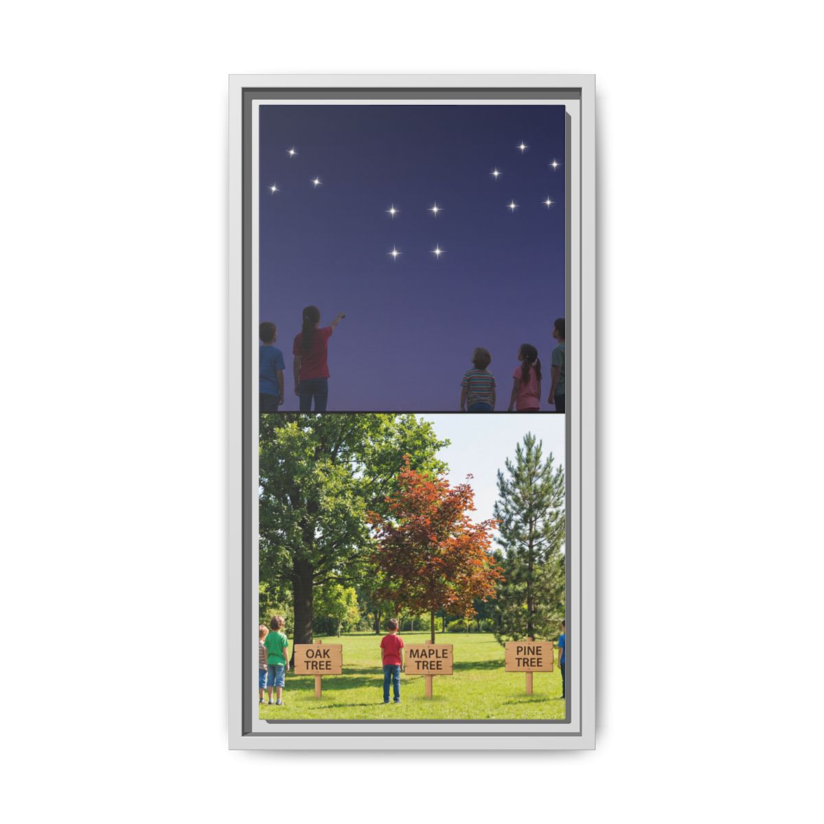 Framed Matte Canvas - Discovery — White / 1.25"