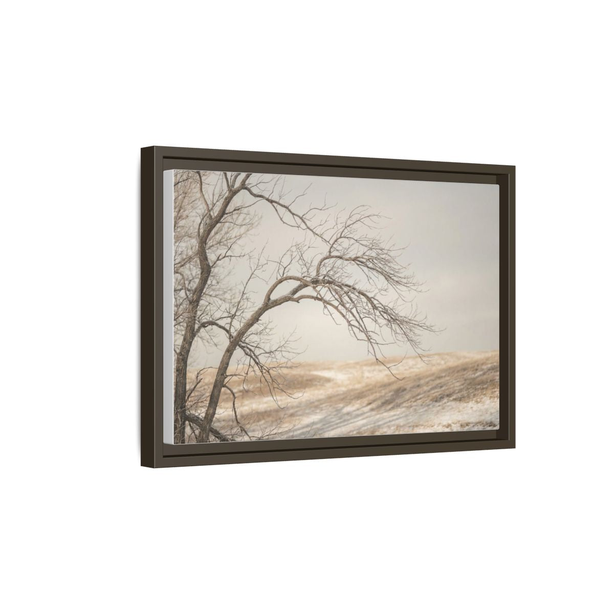 Framed Canvas Art - Minimalist Winter — Espresso / 1.25"