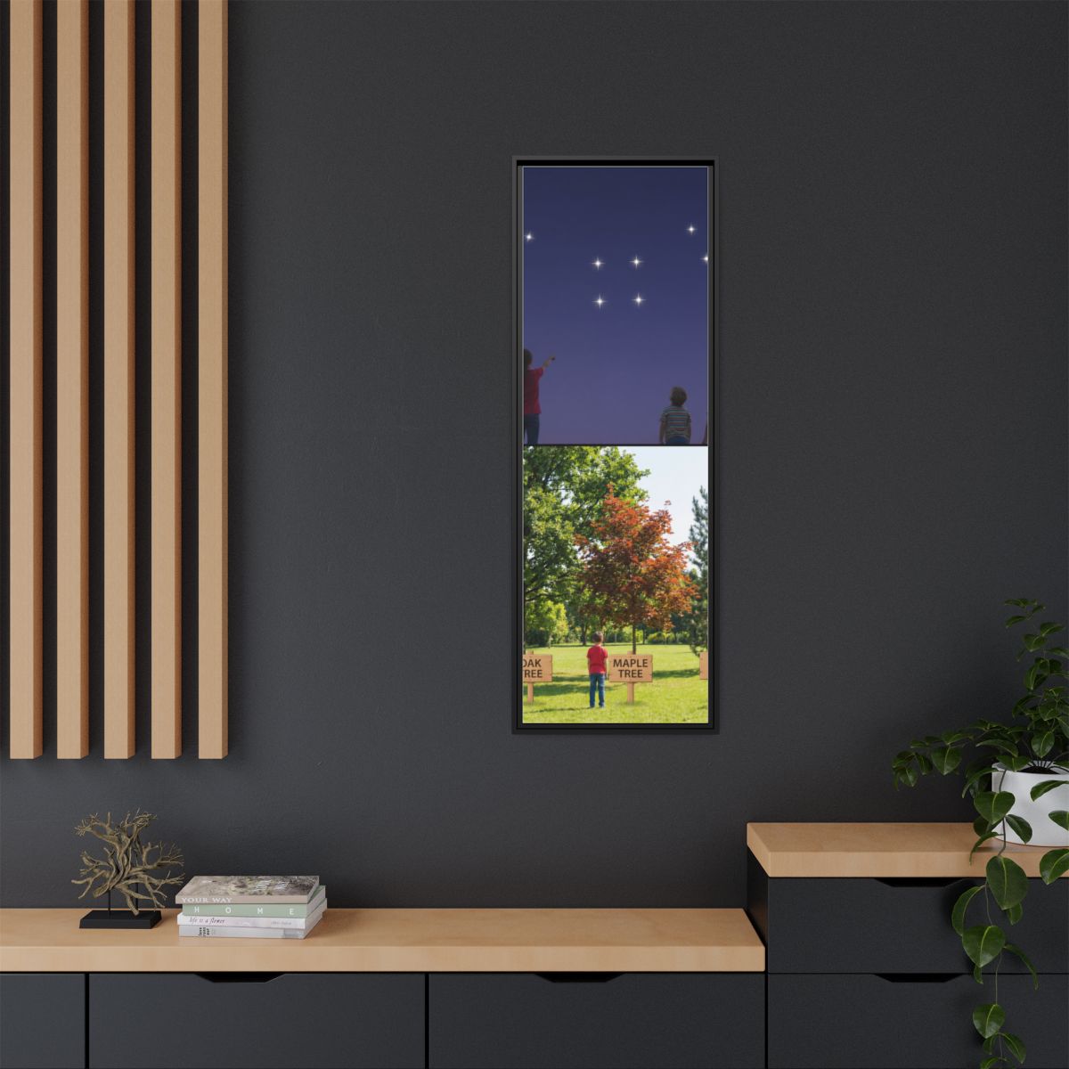 Framed Matte Canvas - Discovery — Black / 1.25"