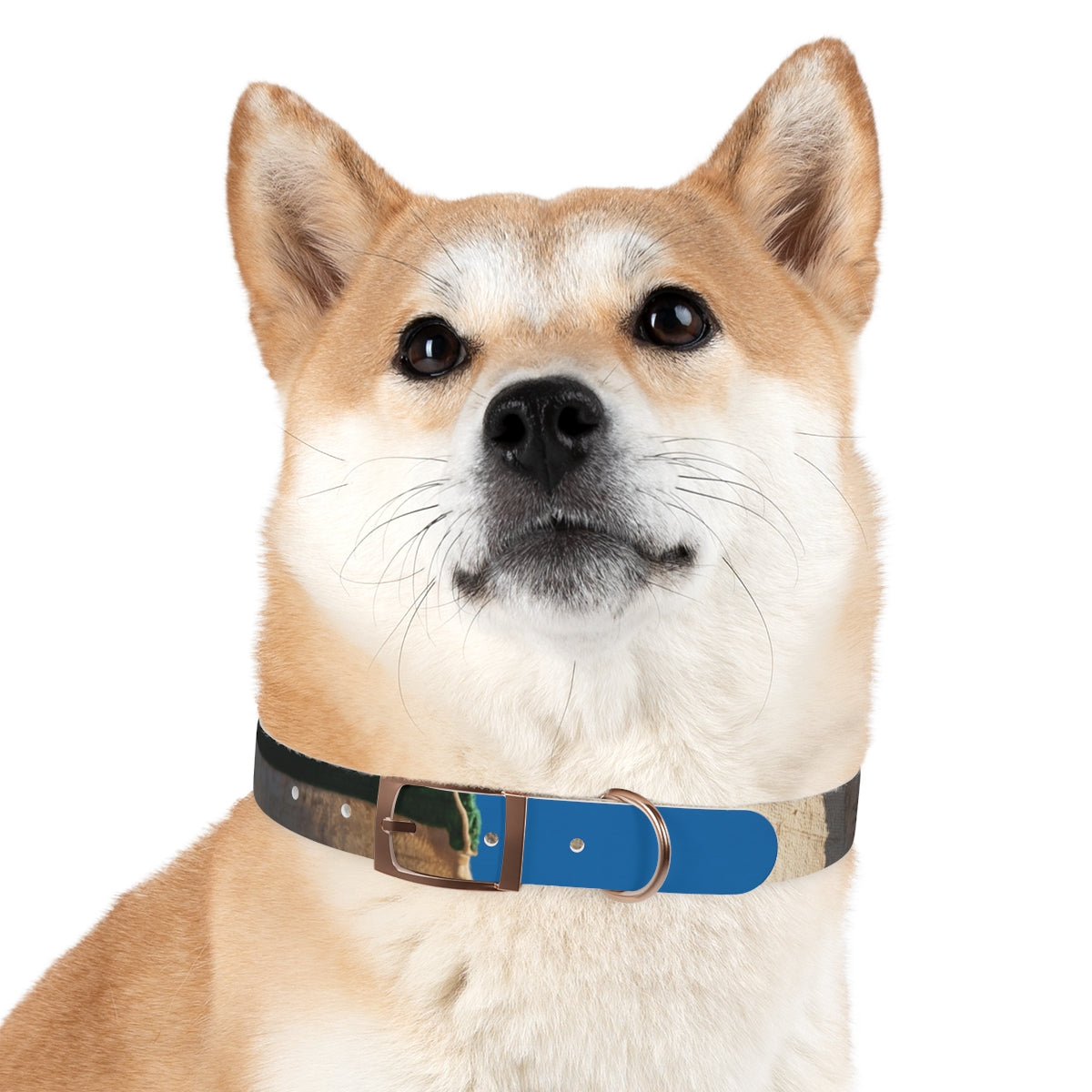 Dog Collar - Heritage Pride