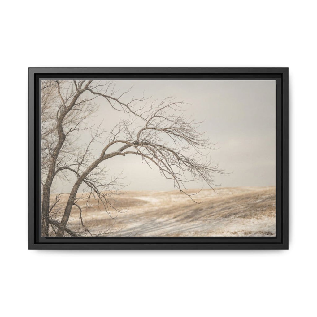 Framed Canvas Art - Minimalist Winter — Black / 1.25"