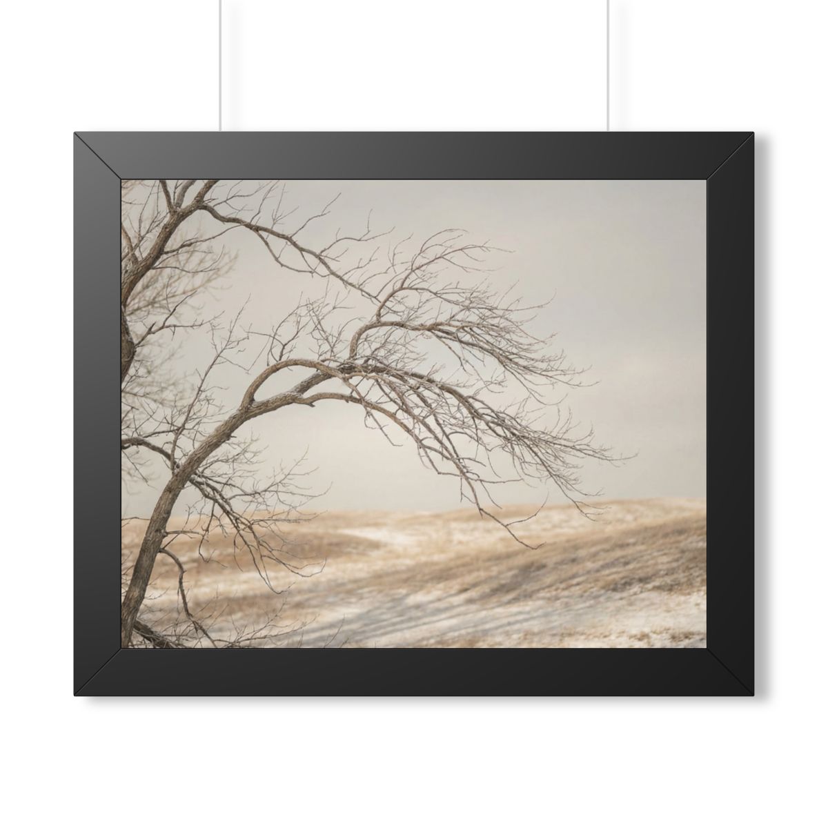 Framed Horizontal Poster - Winter Branch Solitude Landscape...