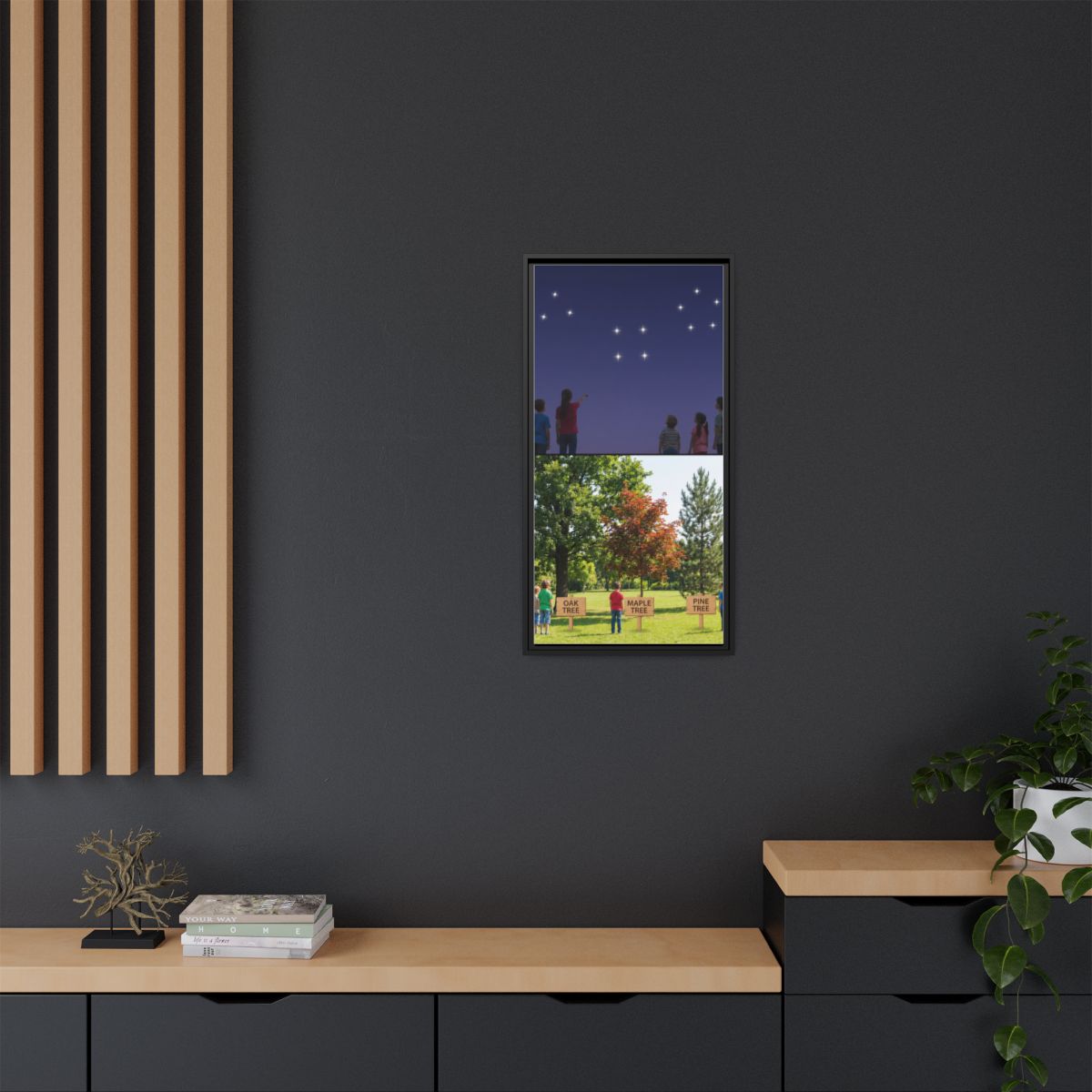 Framed Matte Canvas - Discovery — Black / 1.25"