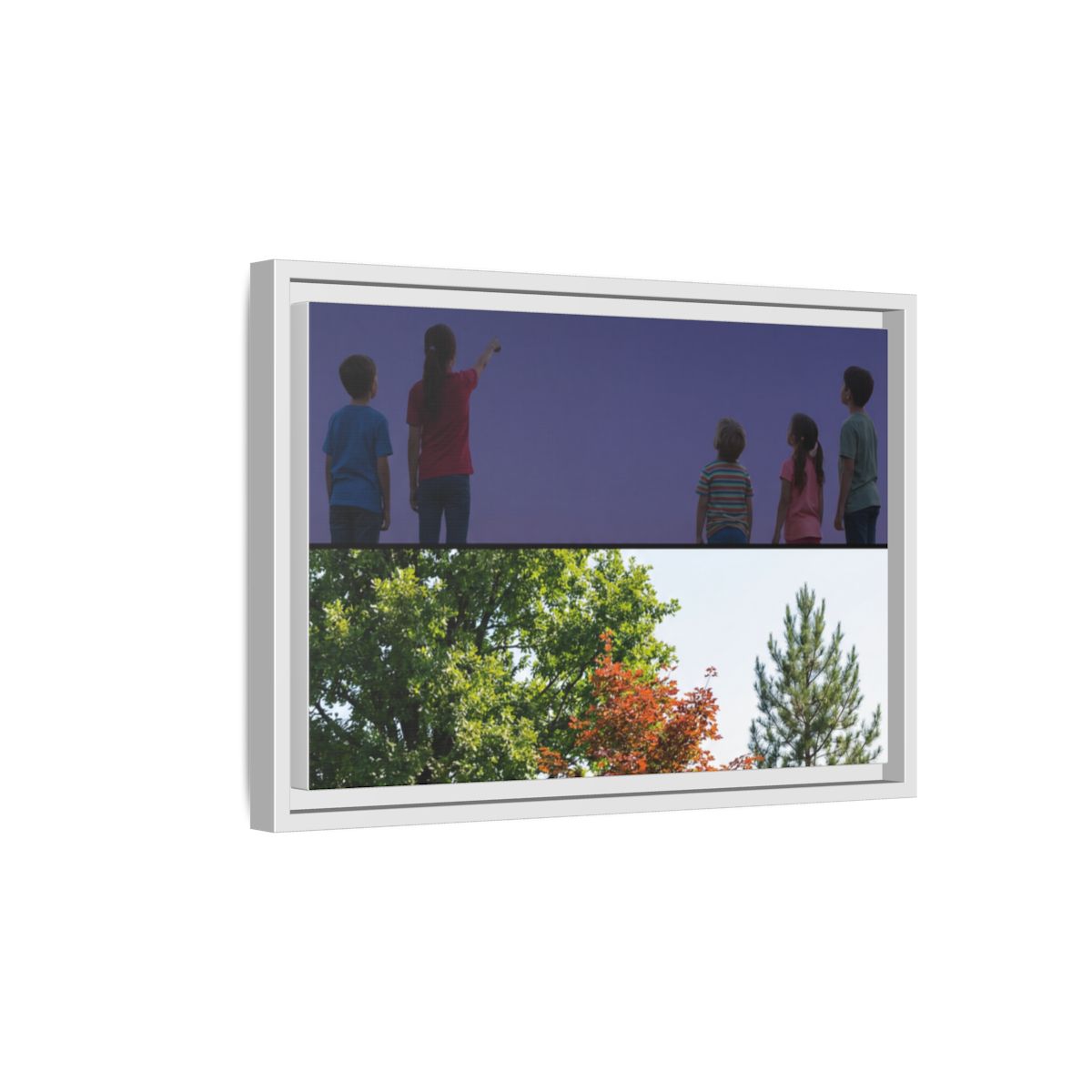 Framed Matte Canvas - Discovery — White / 1.25"