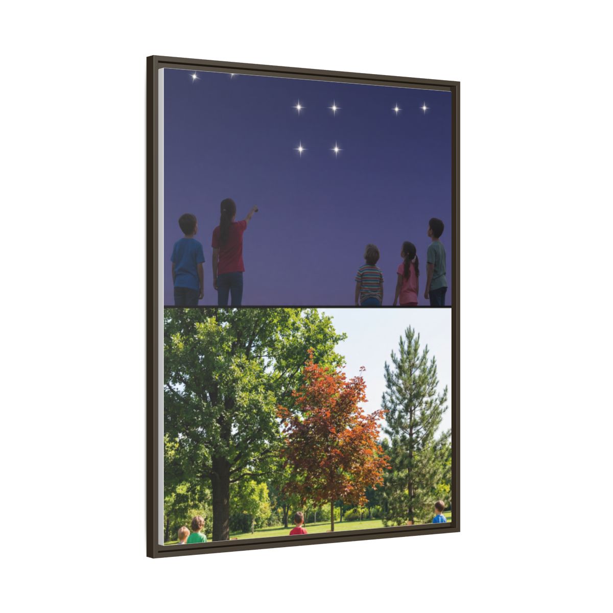 Framed Matte Canvas - Discovery — Espresso / 1.25"