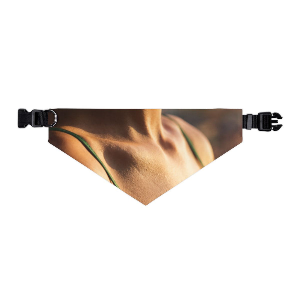 Pet Bandana Collar - Golden Hour Walk