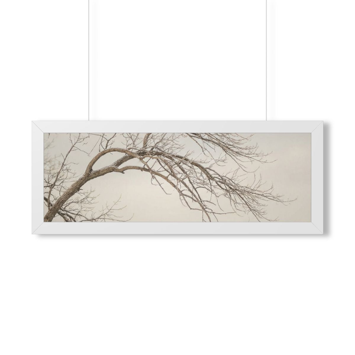 Framed Horizontal Poster - Winter Branch Solitude Landscape...