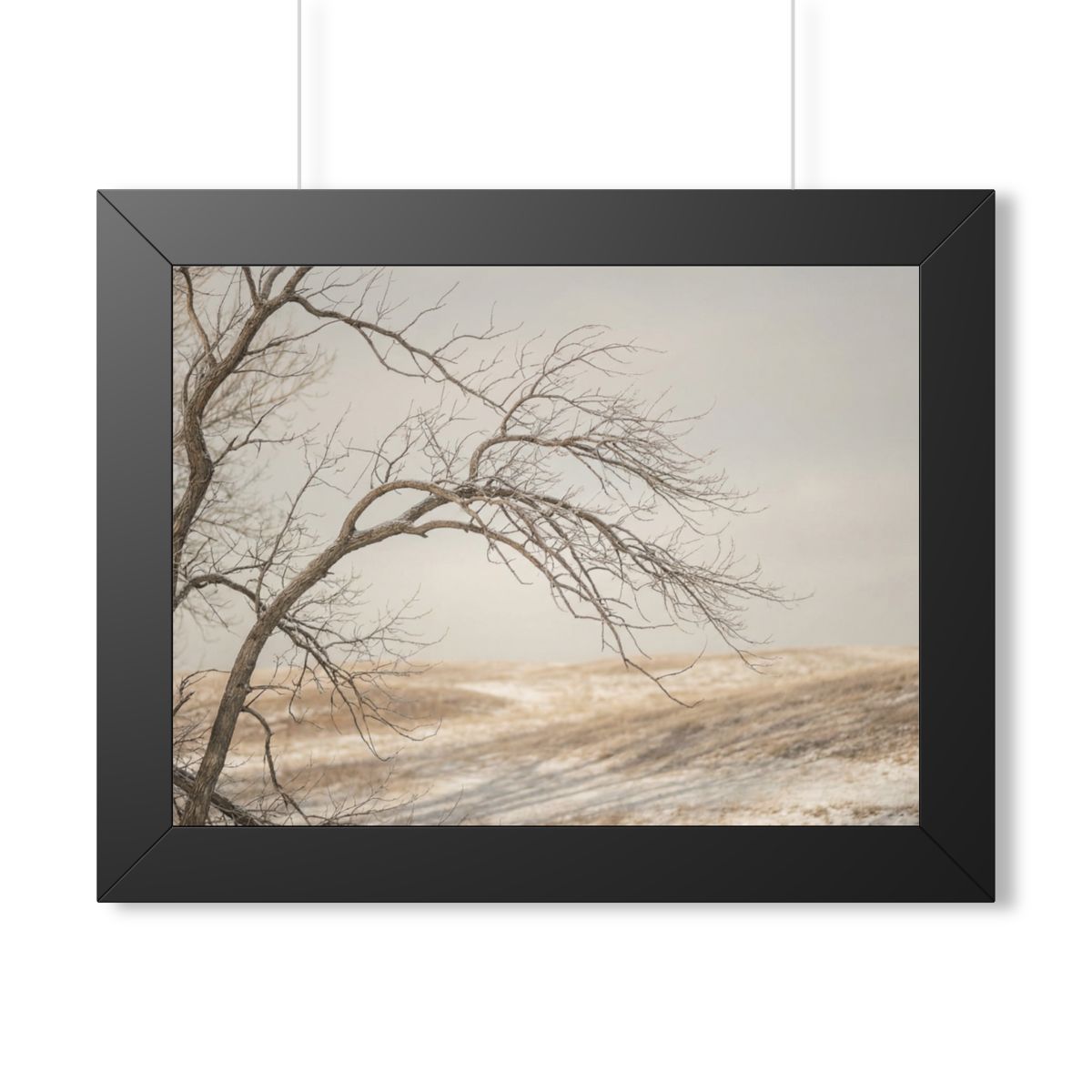 Framed Horizontal Poster - Winter Branch Solitude Landscape...