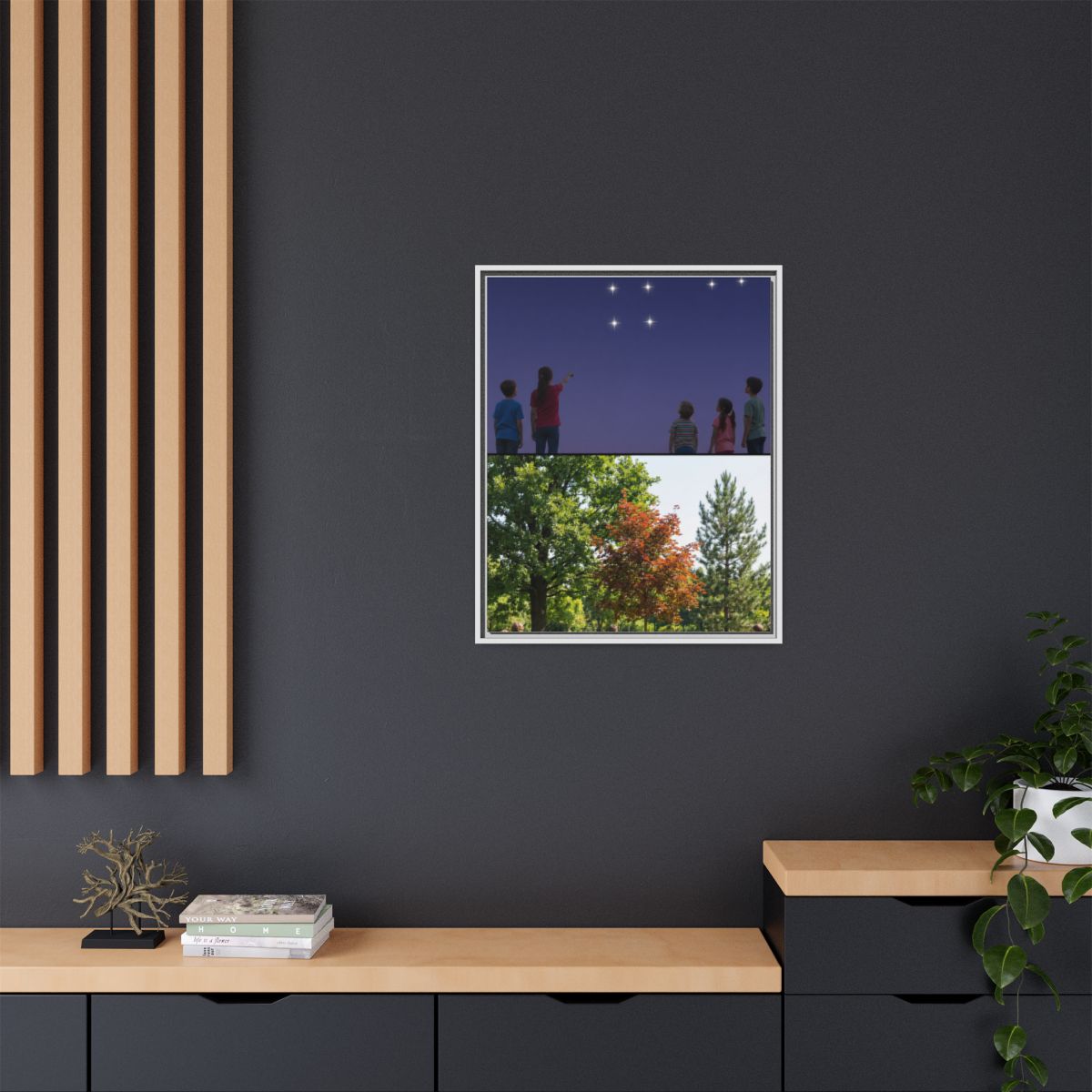 Framed Matte Canvas - Discovery — White / 1.25"