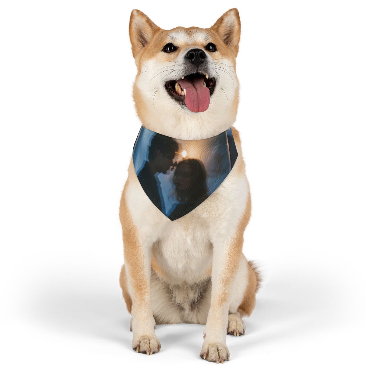 Midnight Reflections Bandana Collar - Moody Dog Collar |...