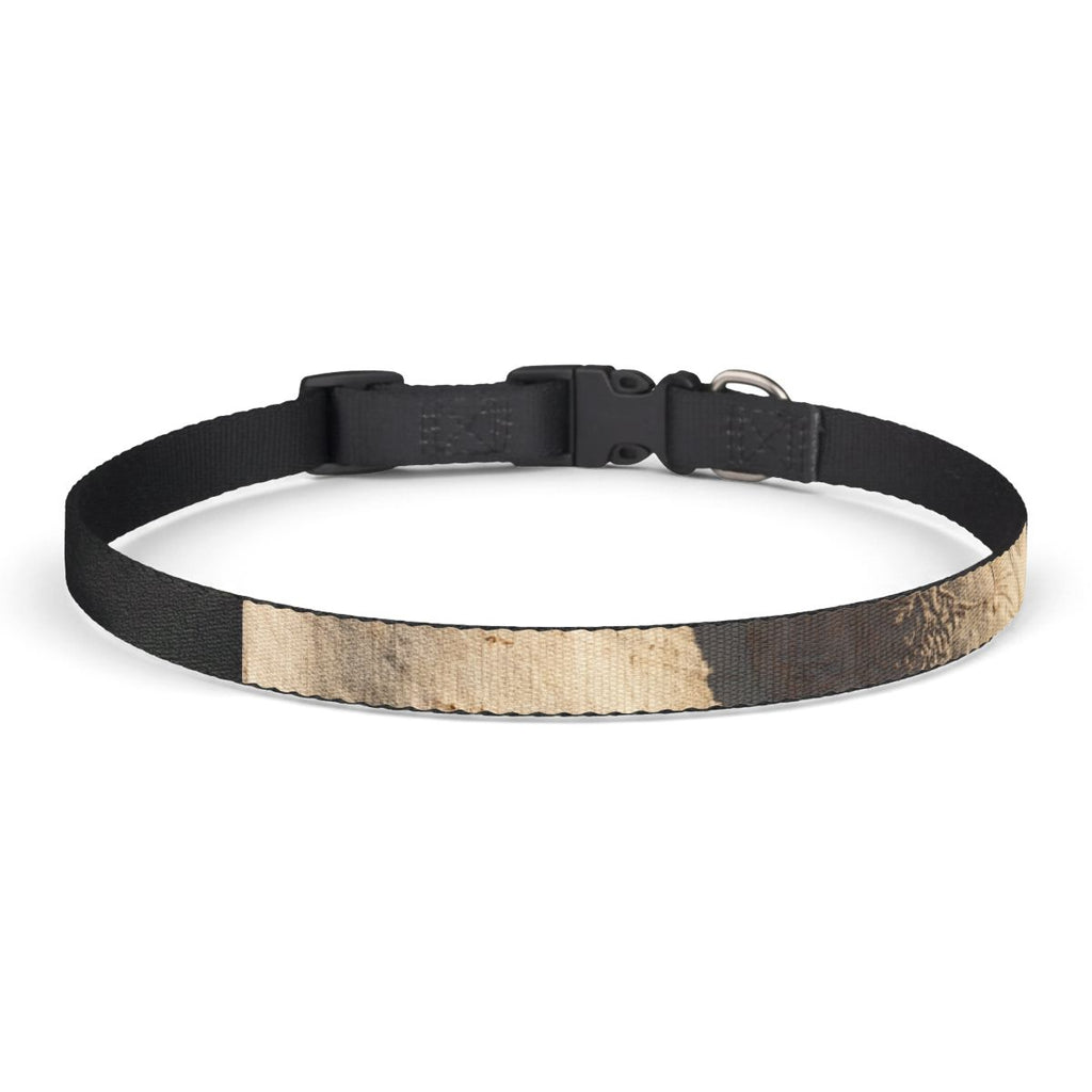 Pet Collar - Vintage Lion & Sun