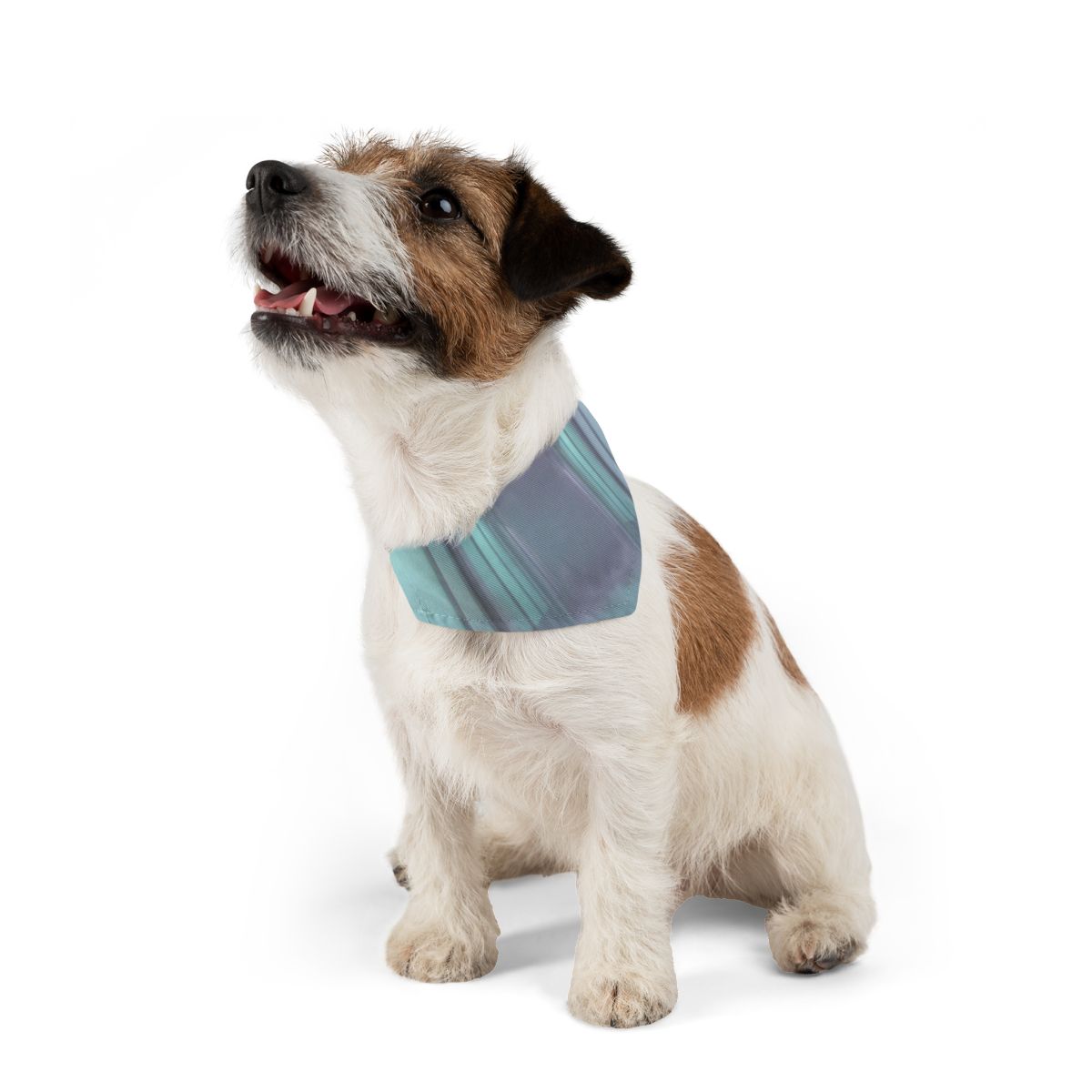 Pet Bandana Collar - Liminal Corridor Fog Art Print |...