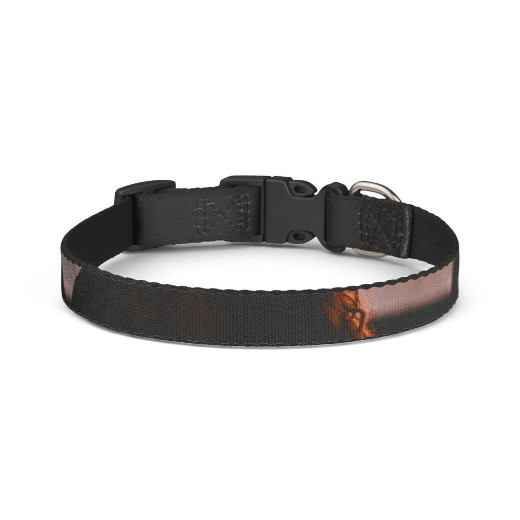 Clip-on Pet Collar - Golden Hour Embrace Silhouette Poster...