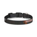 Clip-on Pet Collar - Golden Hour Embrace Silhouette Poster...