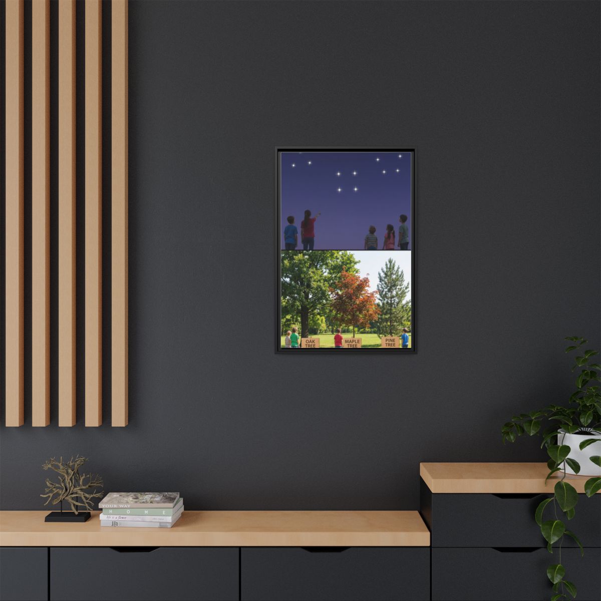Framed Matte Canvas - Discovery — Black / 1.25"