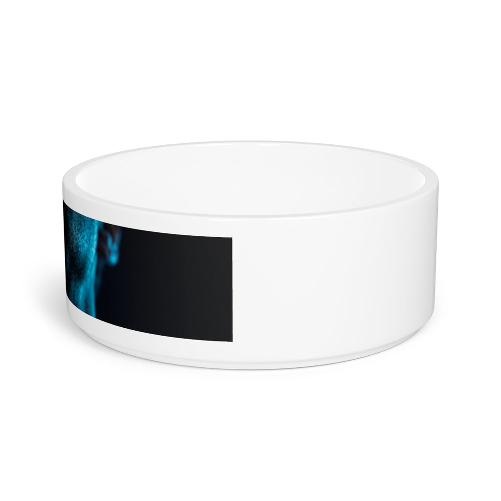 Pet Bowl - Neon Edge Feeding
