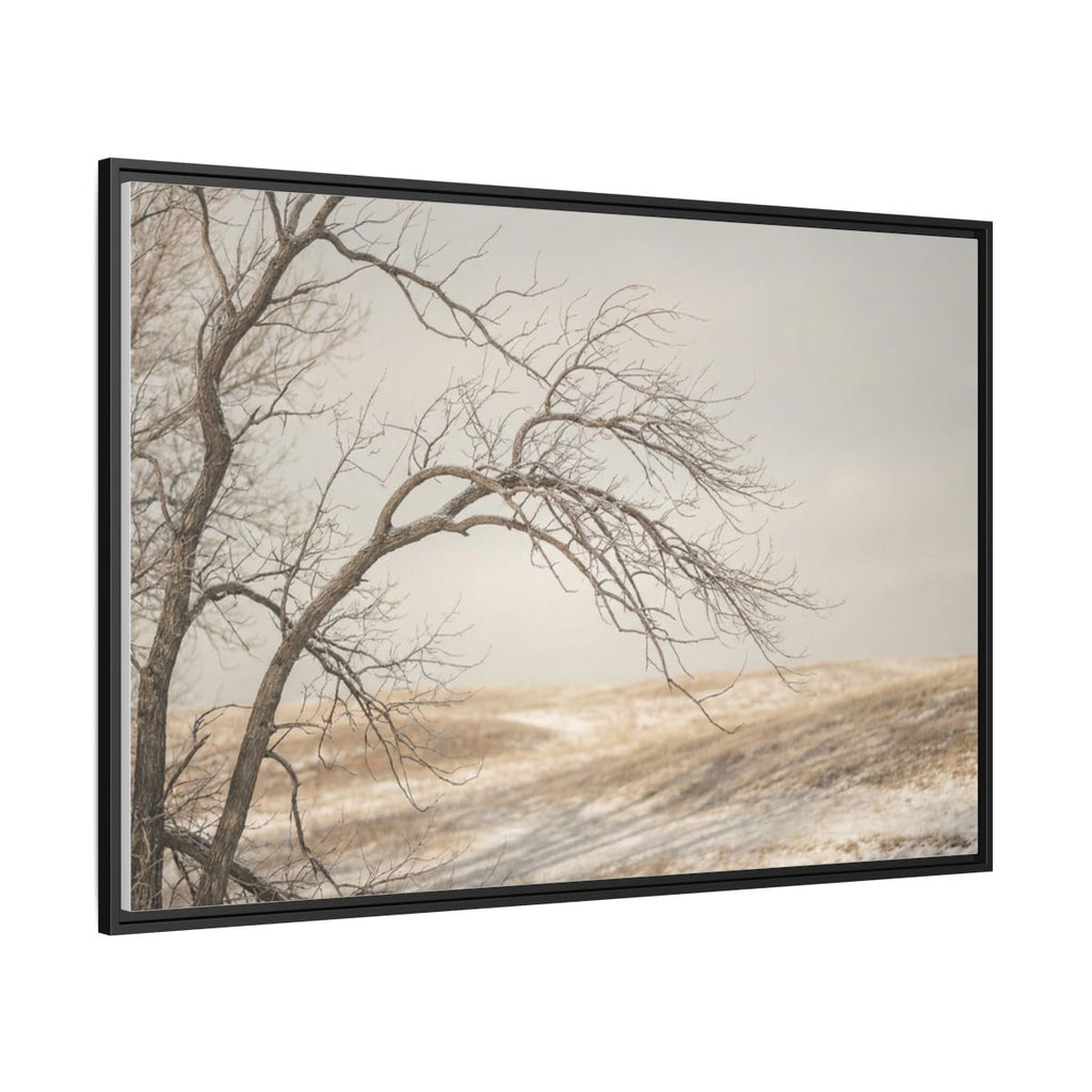 Framed Canvas Art - Minimalist Winter — Black / 1.25"
