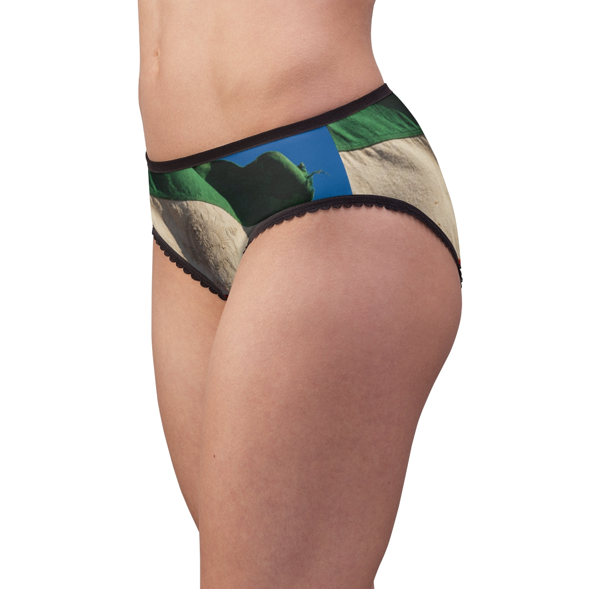 Women's Briefs - Antique Flag Art
