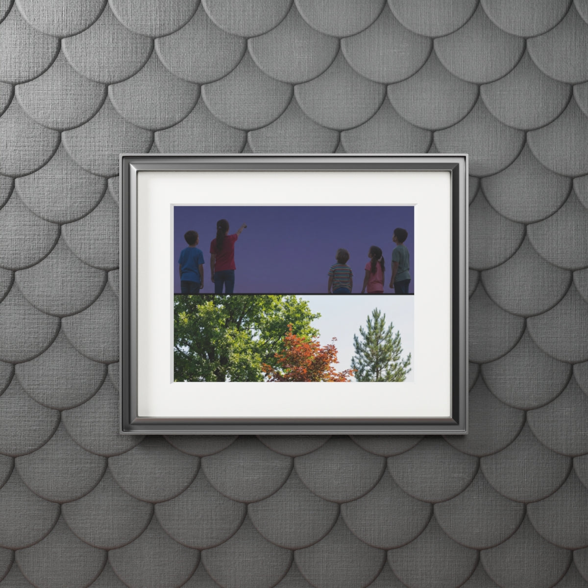 Fine Art Prints - Gallery Stargazer