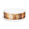 Pet Bowl - Fractured Light Shattered Glass Art | Echovira...