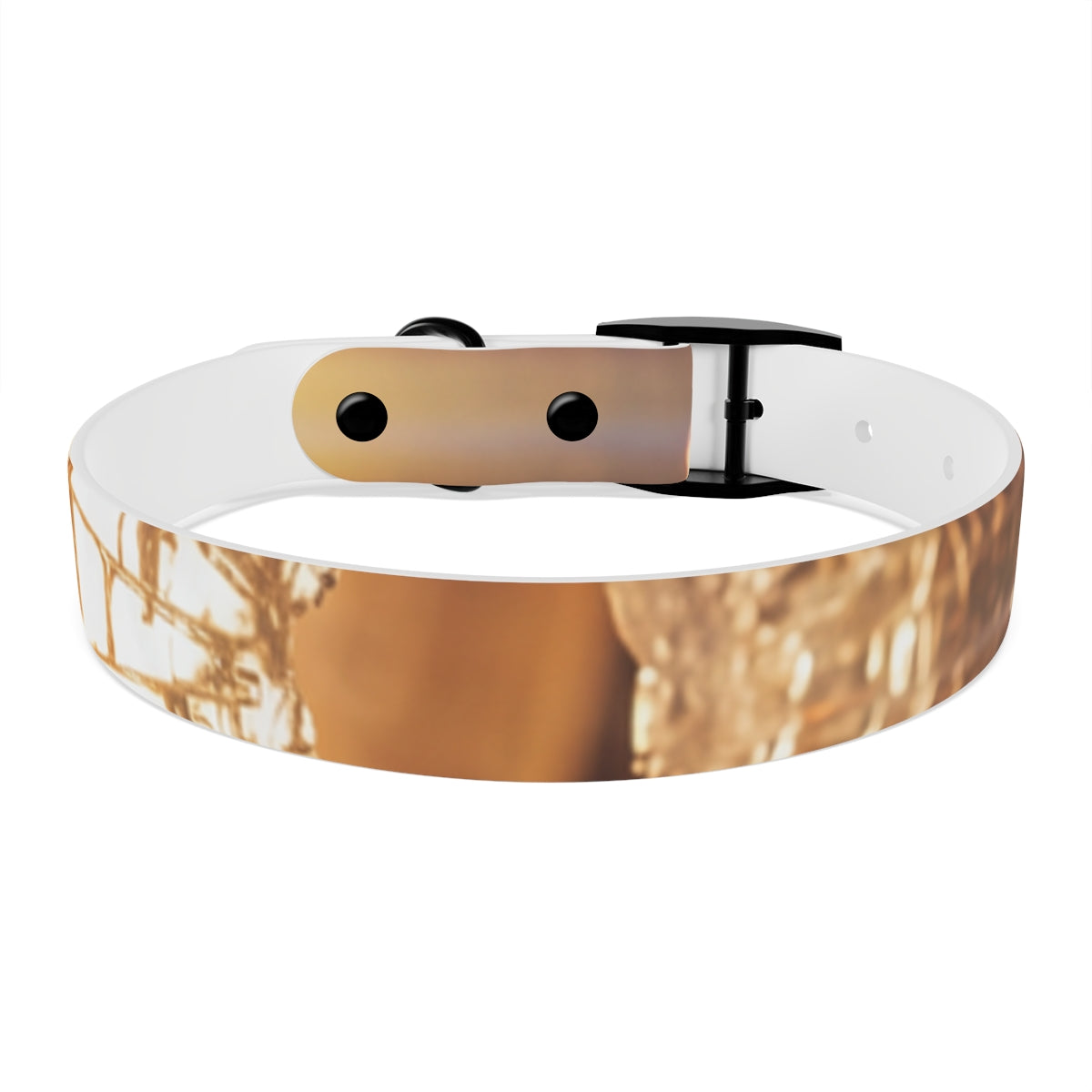 Dog Collar - Shattered Light Aesthetic