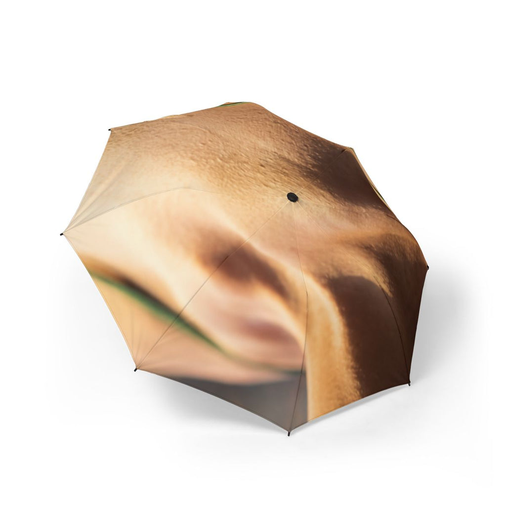 Golden Hour Umbrella - Emerald Sunset Shield | Echovira...