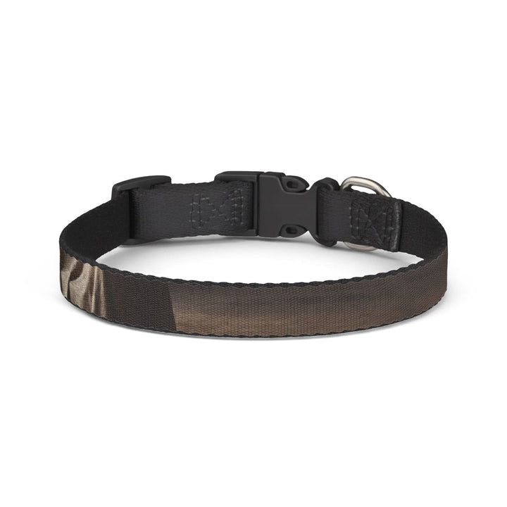 Clip-on Pet Collar - Draped Silence Still Life Art - Shadowed Sanctuary
