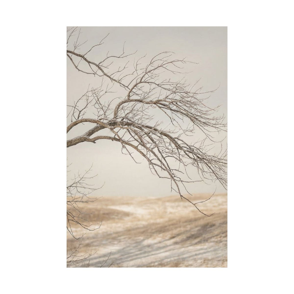 Matte Vertical Posters - Winter Branch Solitude Landscape......