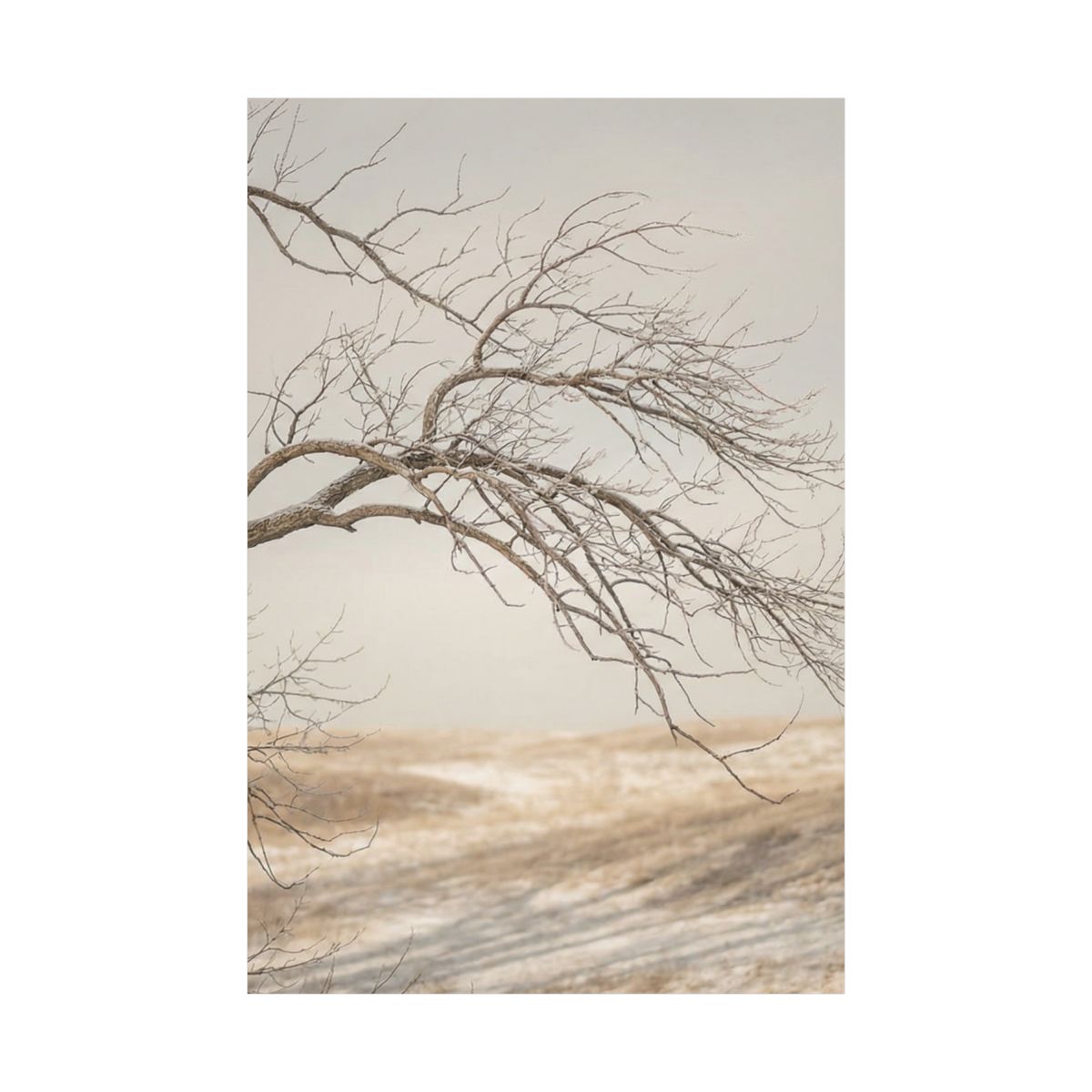 Matte Vertical Posters - Winter Branch Solitude Landscape......