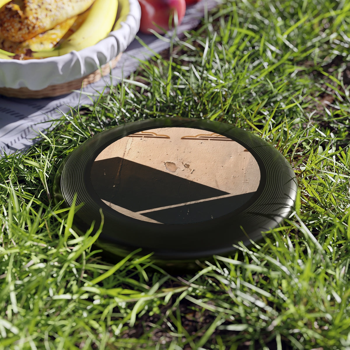 Geometric Mountain Frisbee Wham-O Disc