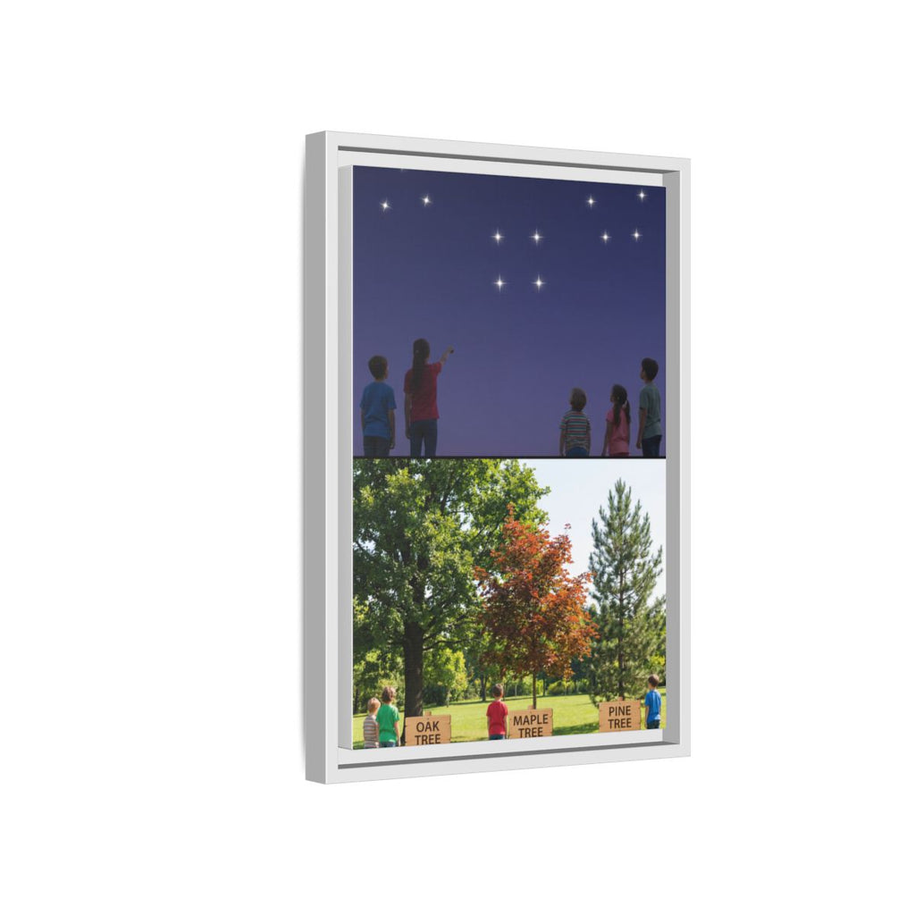 Framed Matte Canvas - Discovery — White / 1.25"