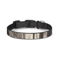Clip-on Pet Collar - Spectral Veils | Echovira Gallery