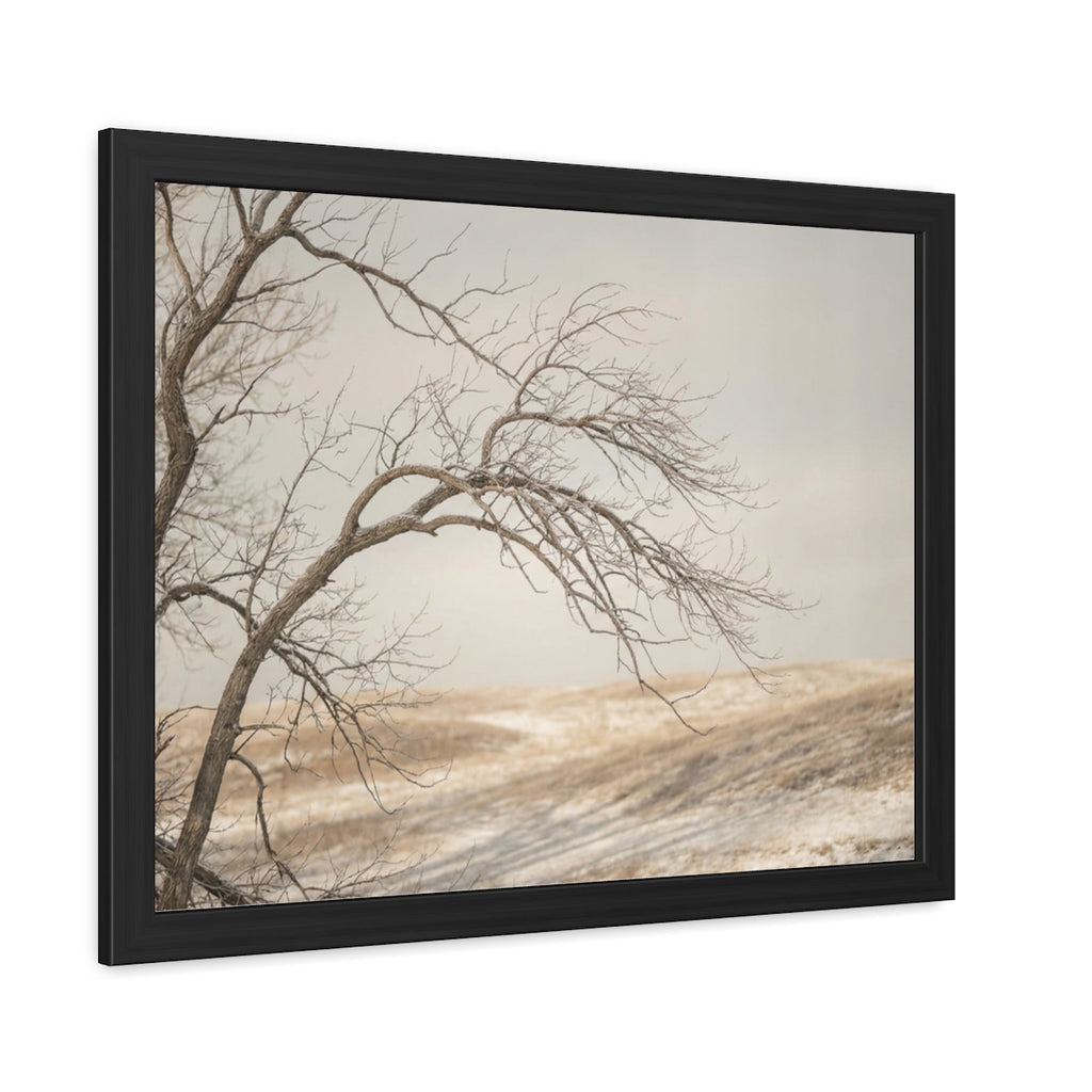 Framed Poster - Minimalist Winter Tree — Landscape