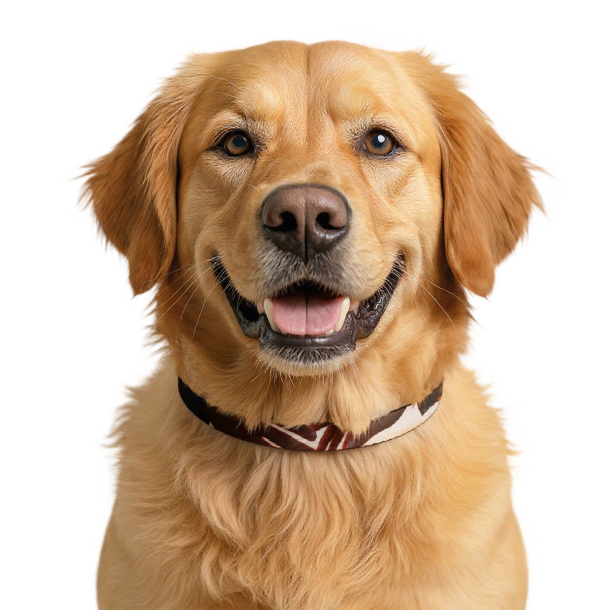 Clip-on Pet Collar - The Infinite Touch | Ethereal Coastal...