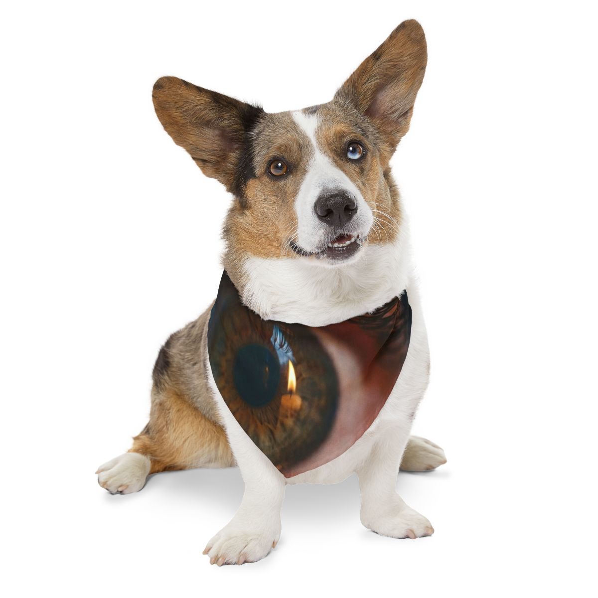 Pet Bandana Collar - Amber Iris Reflection Fine Art Print |...