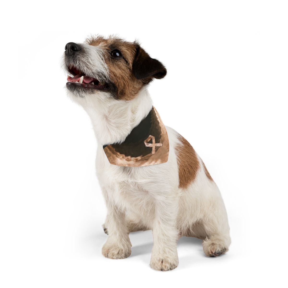 Pet Bandana Collar - Sacred Ribbon Style | Echovira Gallery