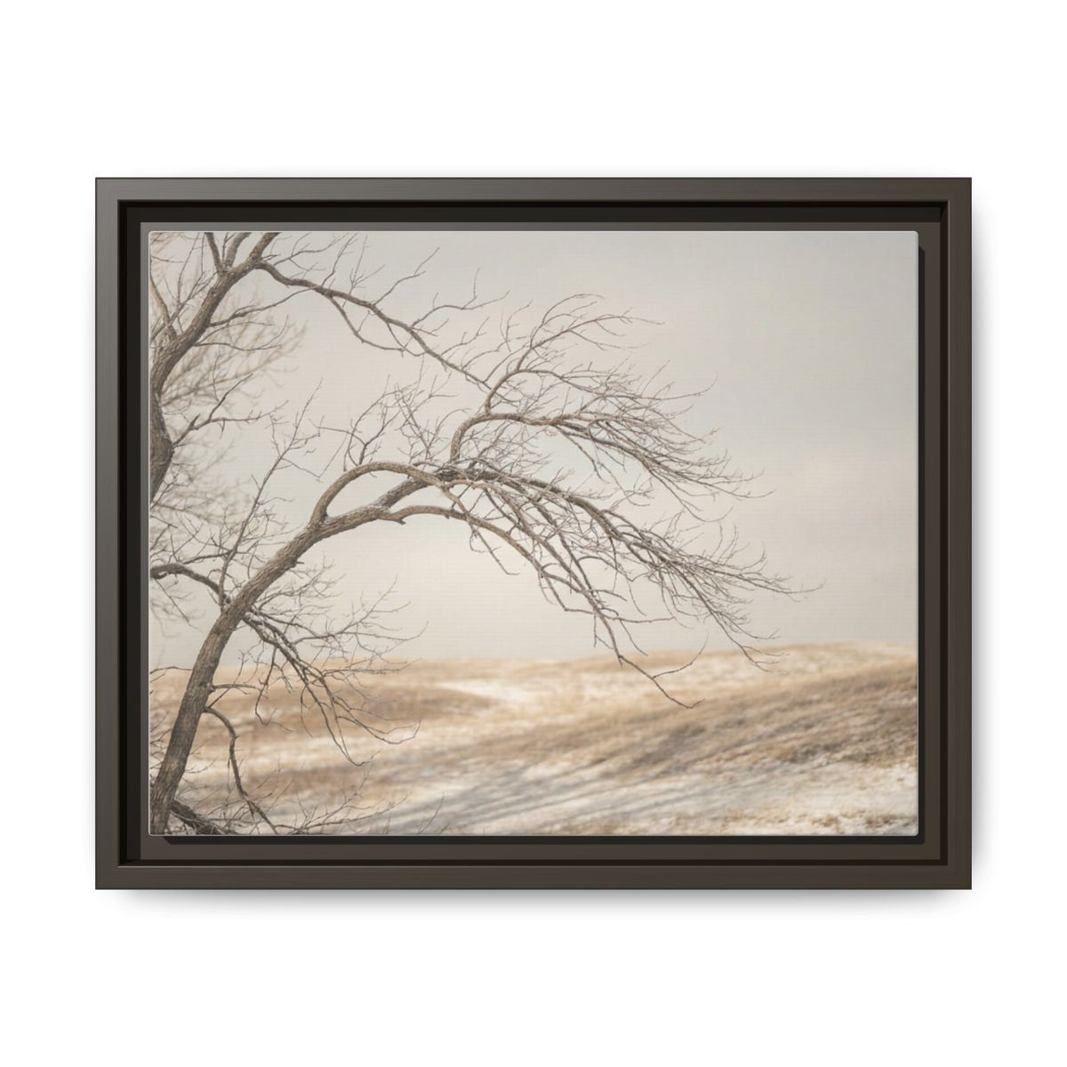 Framed Canvas Art - Minimalist Winter — Espresso / 1.25"