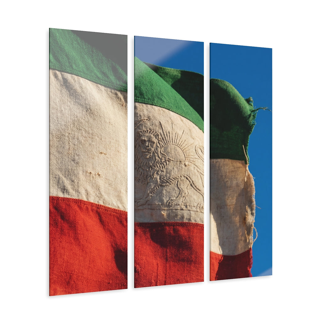 Triptych Acrylic Print - Lion & Sun — Portrait