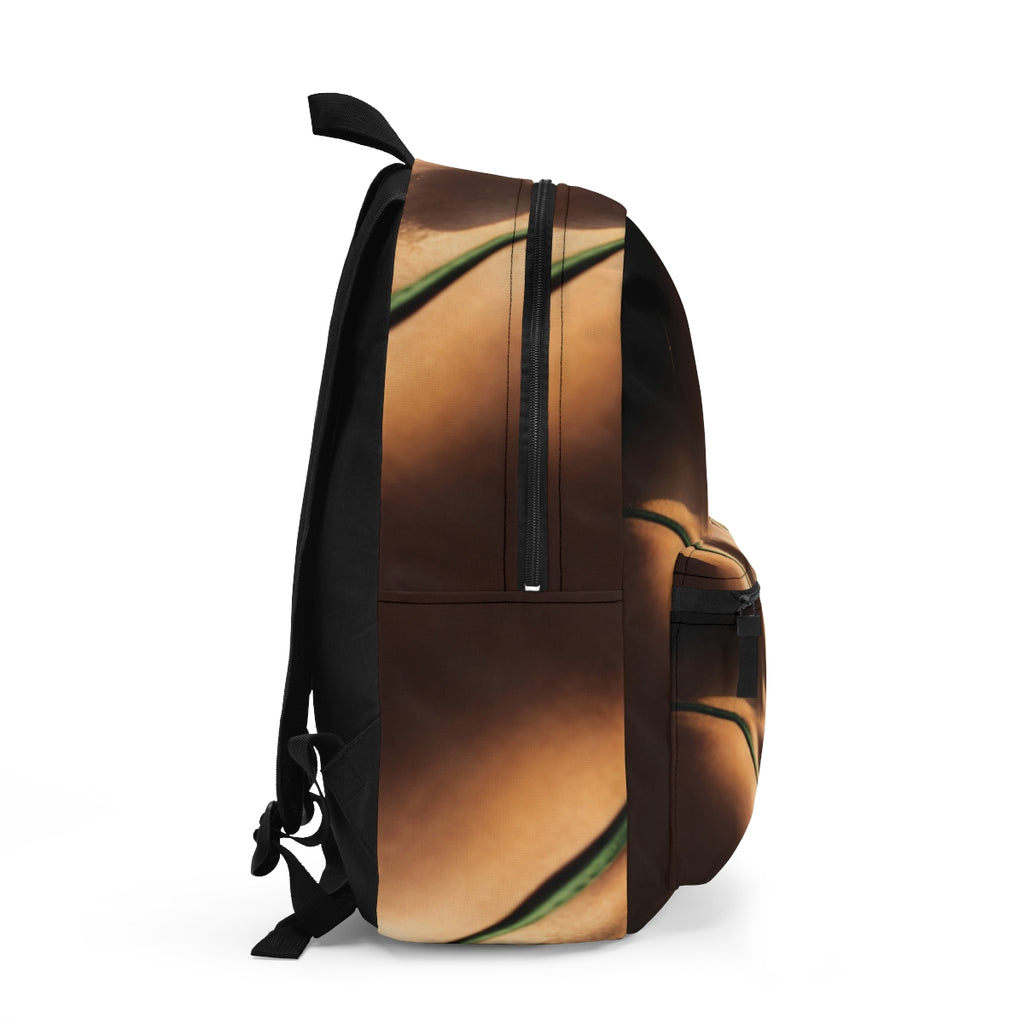 Backpack - Golden Hour Campus Style