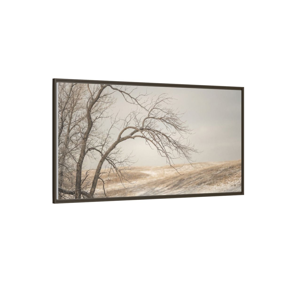 Framed Canvas Art - Minimalist Winter — Espresso / 1.25"