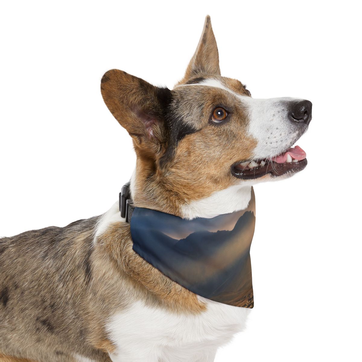 Pet Bandana Collar - Epic Scenic Art