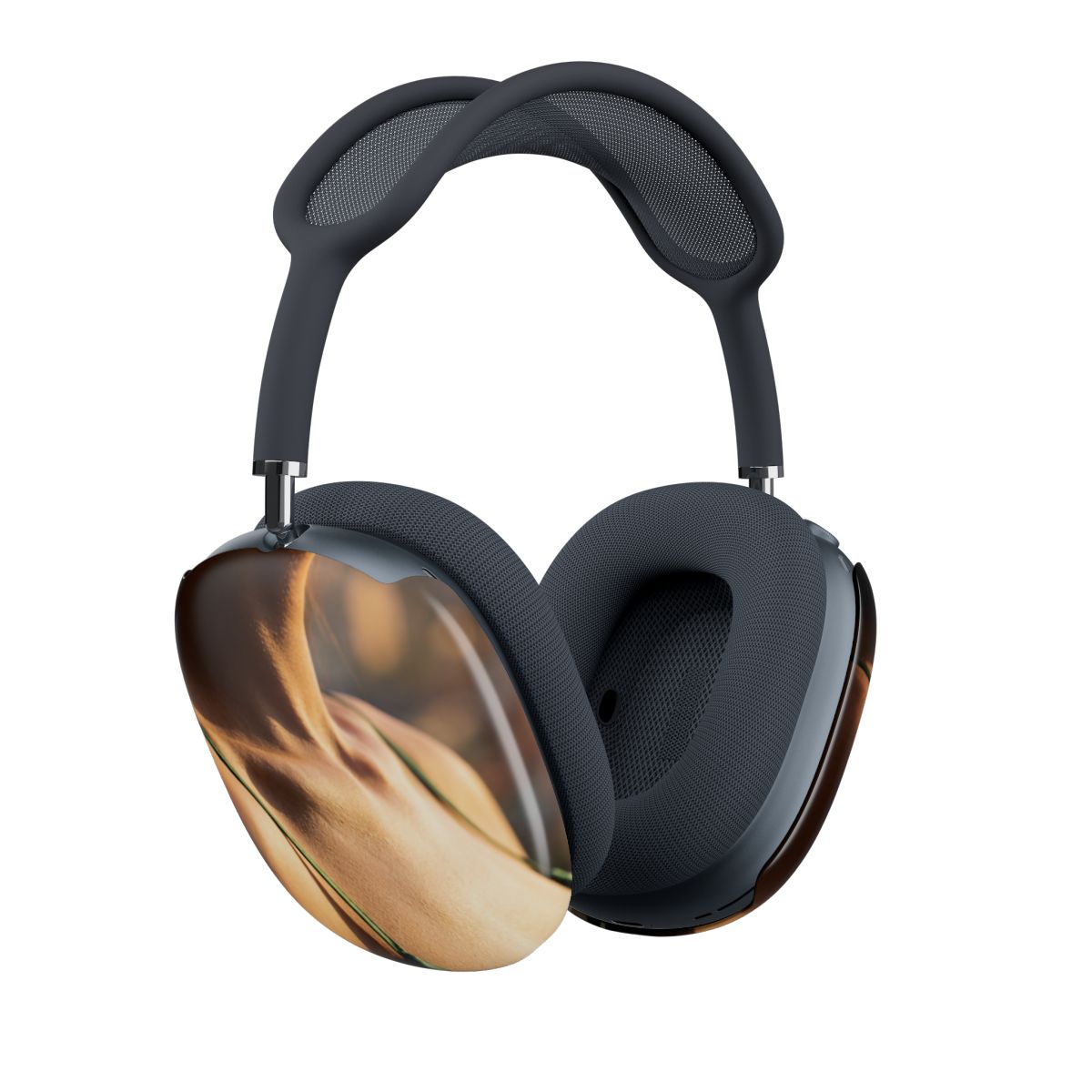 AirPod Max Case - Cinematic Sunlit Vibe