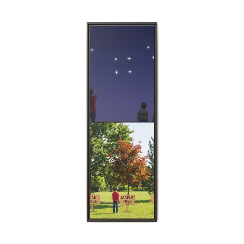 Framed Matte Canvas - Discovery — Espresso / 1.25"