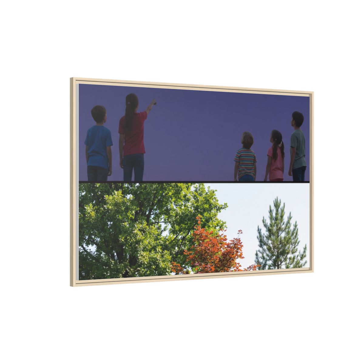 Matte Canvas, Framed - Constellation Woods
