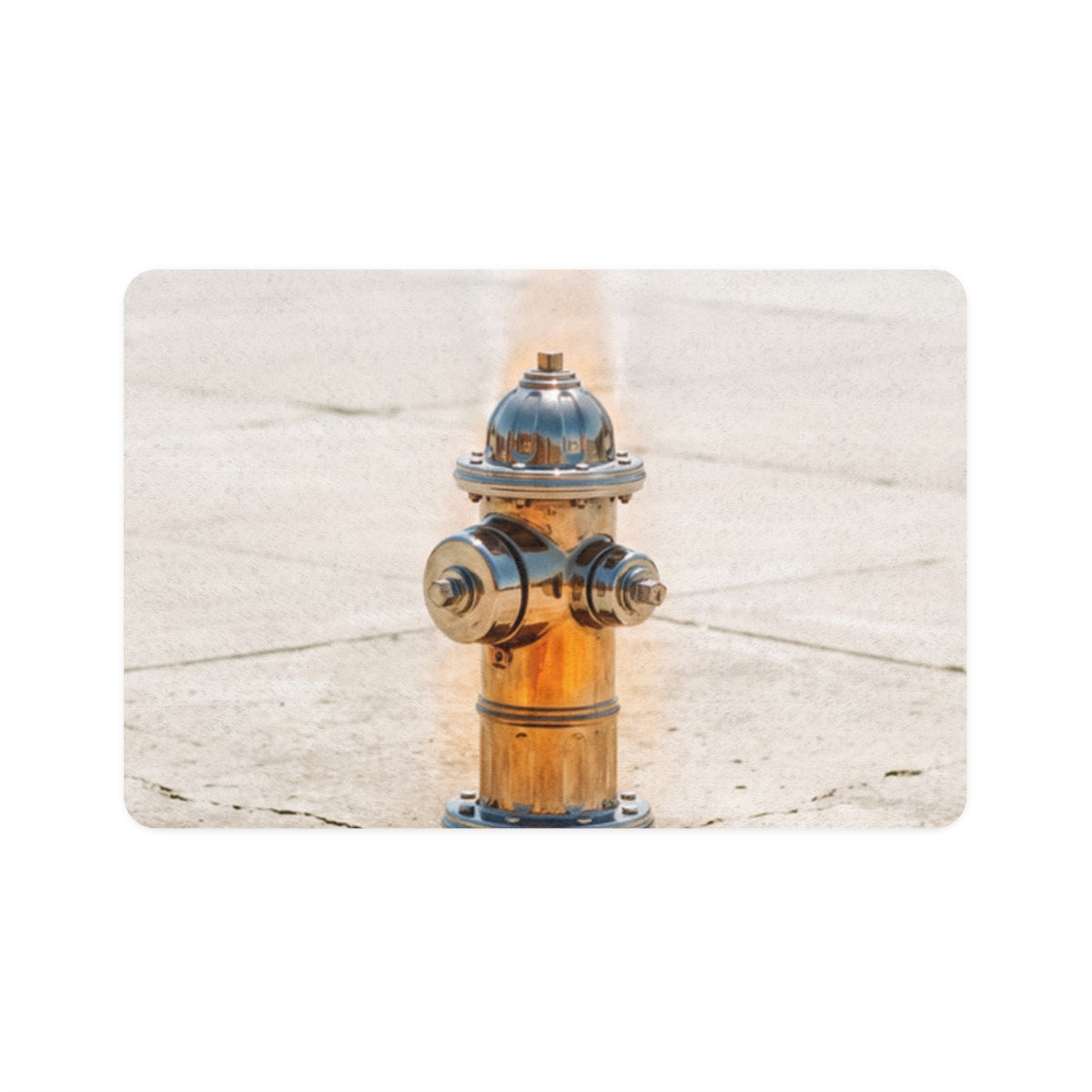 Pet Food Mat (12x18) - Golden Fire Hydrant | Echovira...