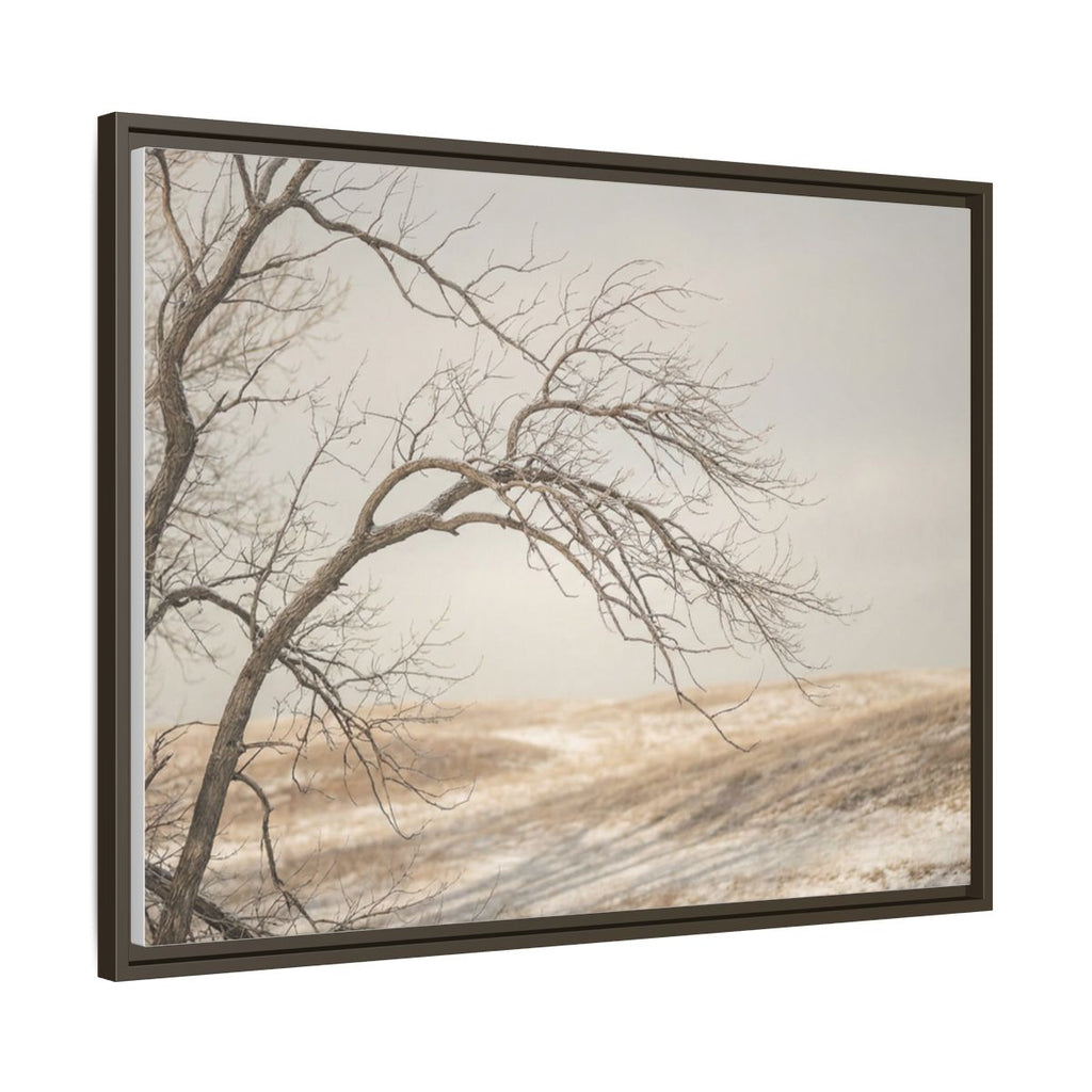 Framed Canvas Art - Minimalist Winter — Espresso / 1.25"