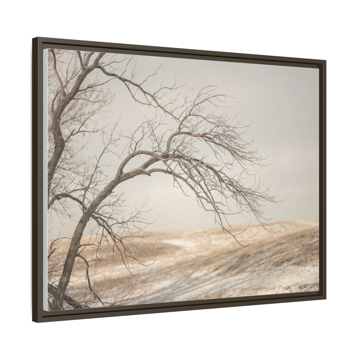 Framed Canvas Art - Minimalist Winter — Espresso / 1.25"